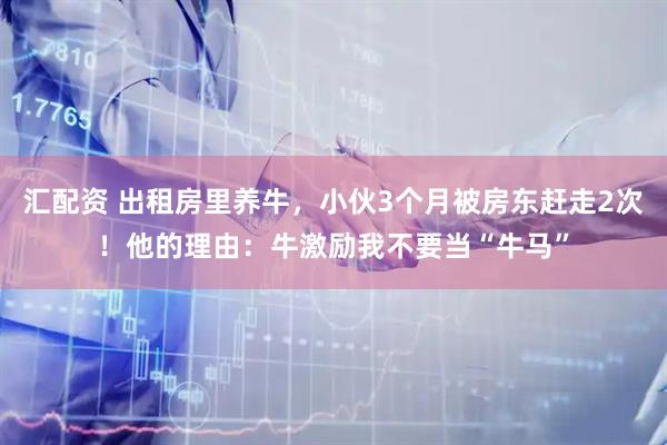 汇配资 出租房里养牛，小伙3个月被房东赶走2次！他的理由：牛激励我不要当“牛马”