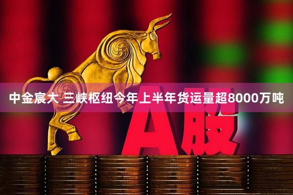 中金宸大 三峡枢纽今年上半年货运量超8000万吨